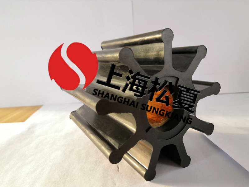定制橡膠葉輪泵需要注意什么呢？